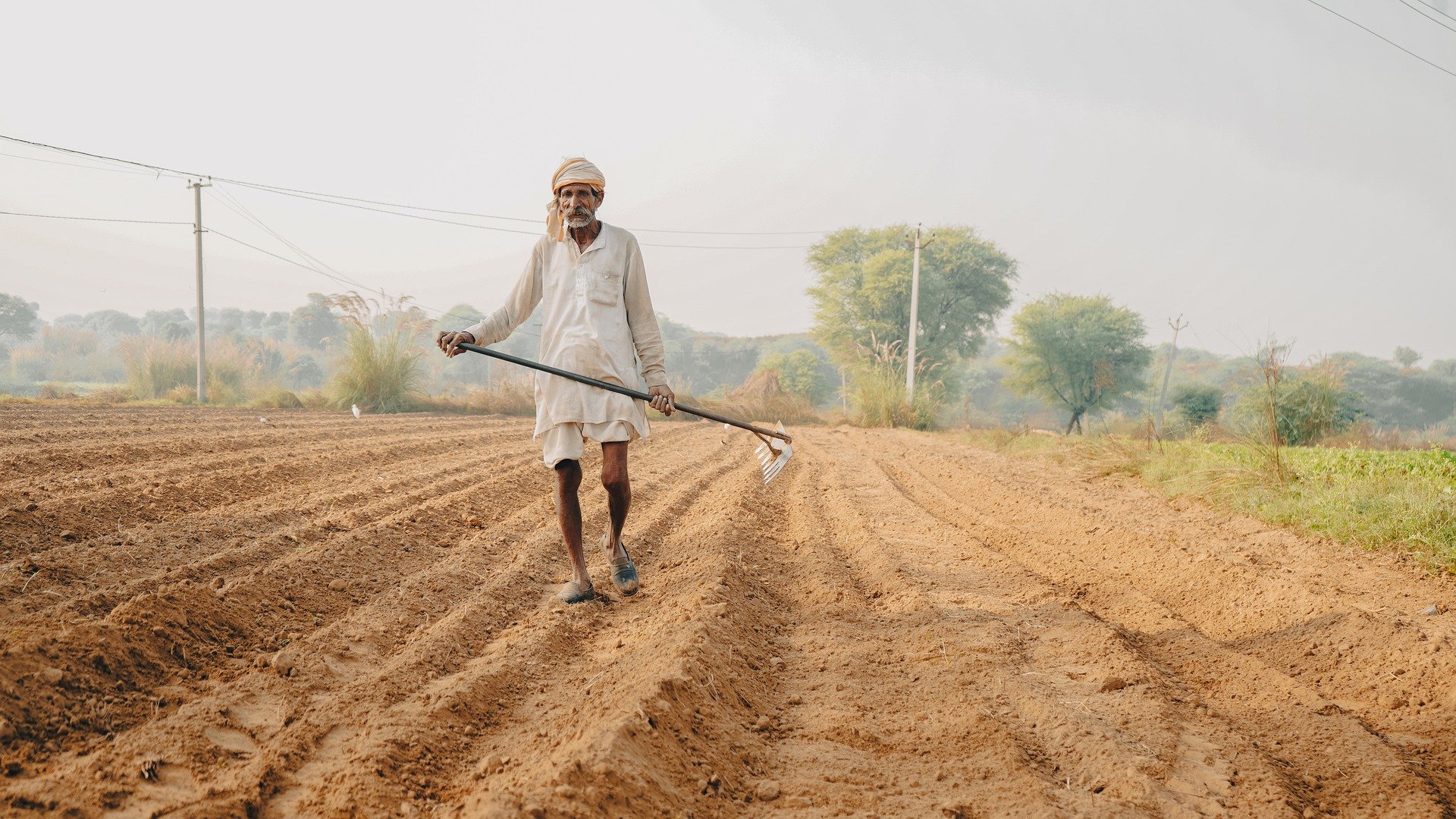 10 NGOs in India Working in the Agriculture Sector To Help Farmers 